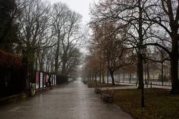 Mglista jesienna alejka w warszawskim parku